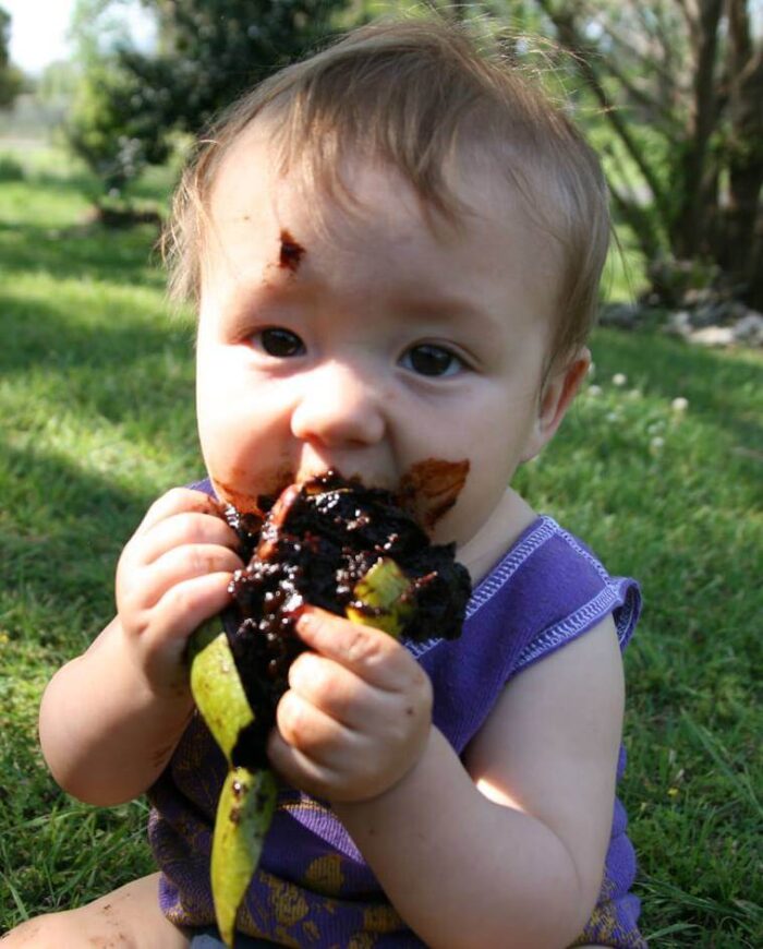 Kid eating Chocolate Pudding Fruit