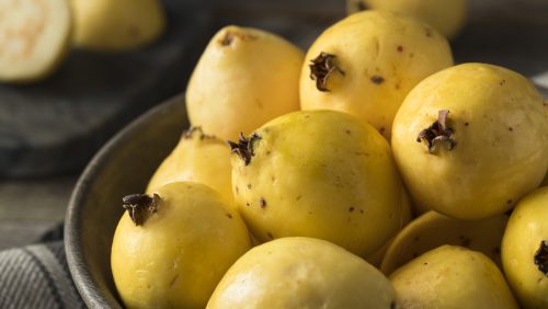 Guava 'Mexican Cream'