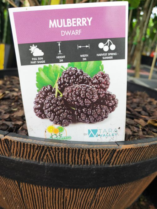 JPEG 20241229 113922 2424161858549816697.jpg