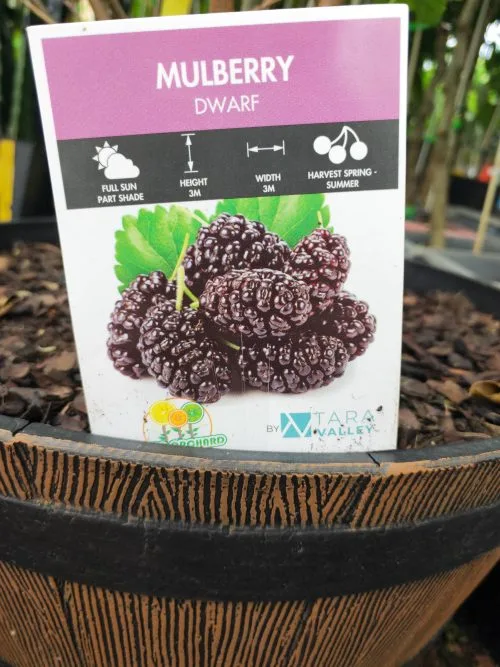 JPEG 20241229 113922 2424161858549816697.jpg