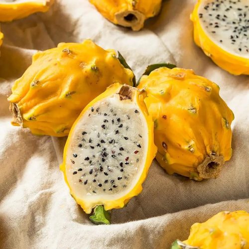 Dragon Fruit 'Yellow'