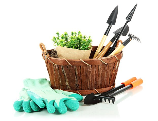 home garden3 Home Garden