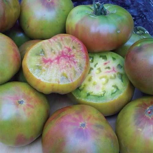 Tomato 'Ananas Noir'